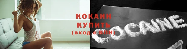 ПСИЛОЦИБИНОВЫЕ ГРИБЫ Каменка