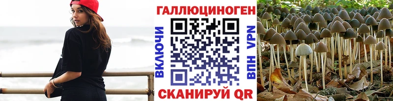 Псилоцибиновые грибы MAGIC MUSHROOMS  Вытегра 